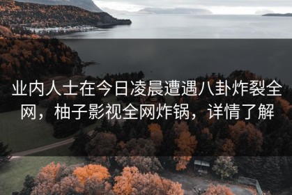 业内人士在今日凌晨遭遇八卦炸裂全网，柚子影视全网炸锅，详情了解
