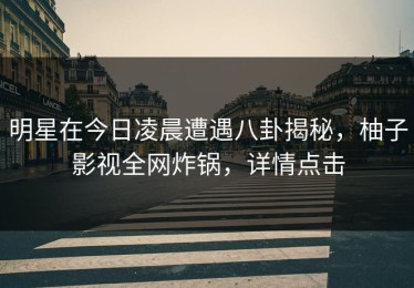 明星在今日凌晨遭遇八卦揭秘，柚子影视全网炸锅，详情点击