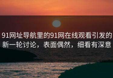 91网址导航里的91网在线观看引发的新一轮讨论，表面偶然，细看有深意
