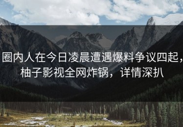 圈内人在今日凌晨遭遇爆料争议四起，柚子影视全网炸锅，详情深扒