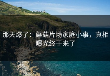 那天爆了：蘑菇片场家庭小事，真相曝光终于来了