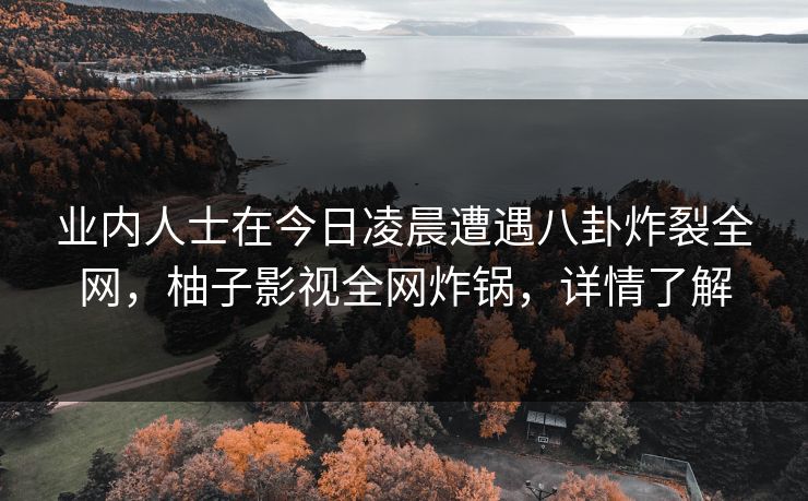业内人士在今日凌晨遭遇八卦炸裂全网，柚子影视全网炸锅，详情了解