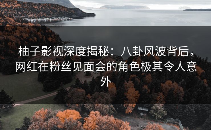 柚子影视深度揭秘：八卦风波背后，网红在粉丝见面会的角色极其令人意外