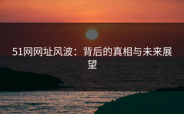 51网网址风波:背后的真相与未来展望 51网网址风波:背后的真相与未来展望